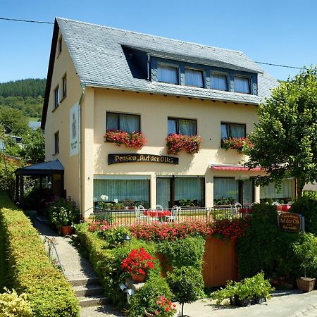 Pension Auf Der Olk Mit Roepertsmuehle Veldenz Esterno foto