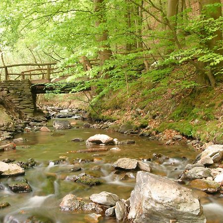 Pension Auf Der Olk Mit Roepertsmuehle Veldenz Esterno foto