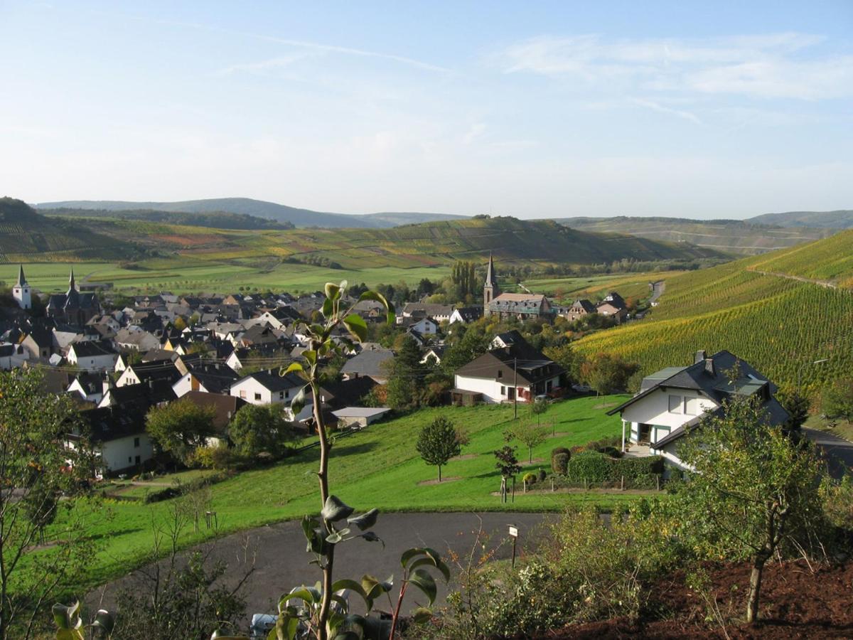 Pension Auf Der Olk Mit Roepertsmuehle Veldenz Esterno foto