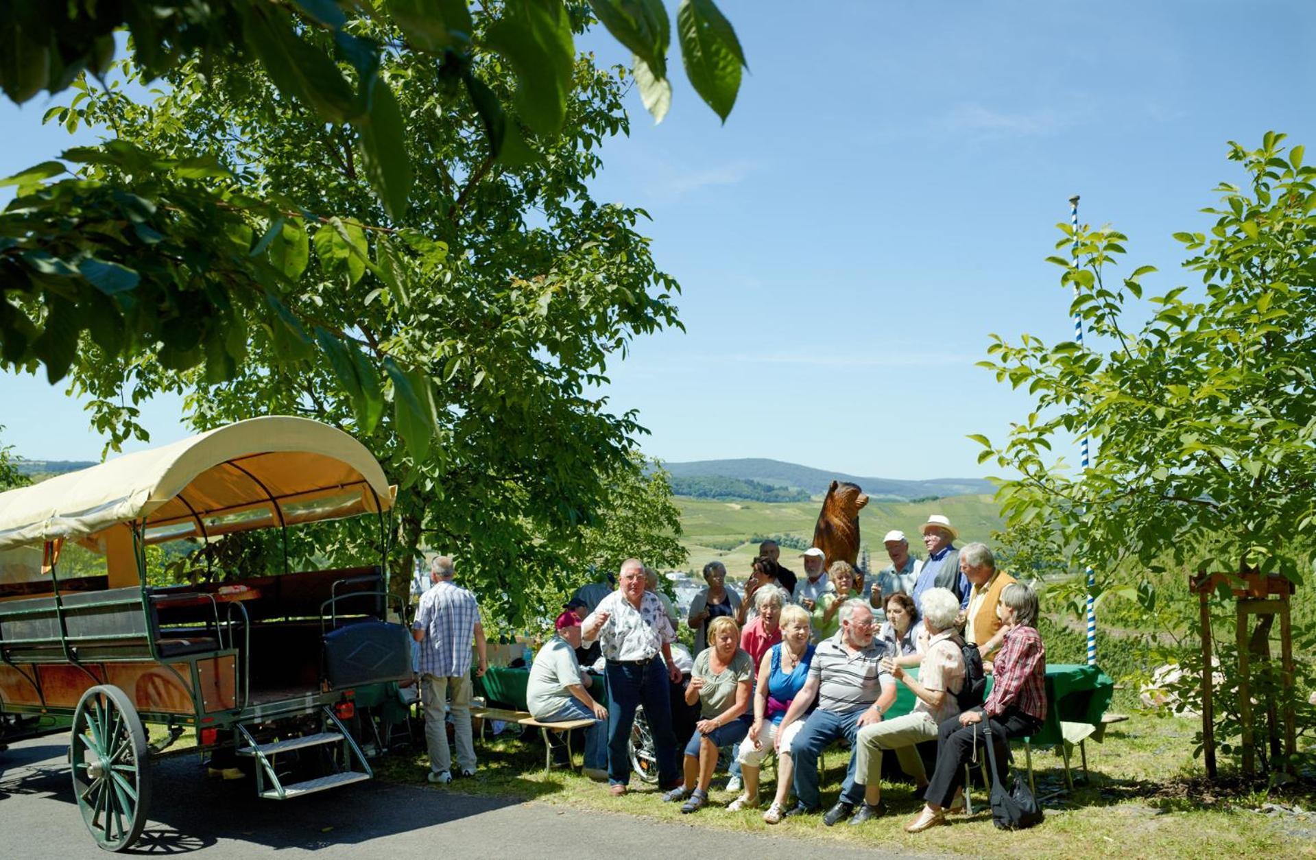Pension Auf Der Olk Mit Roepertsmuehle Veldenz Esterno foto