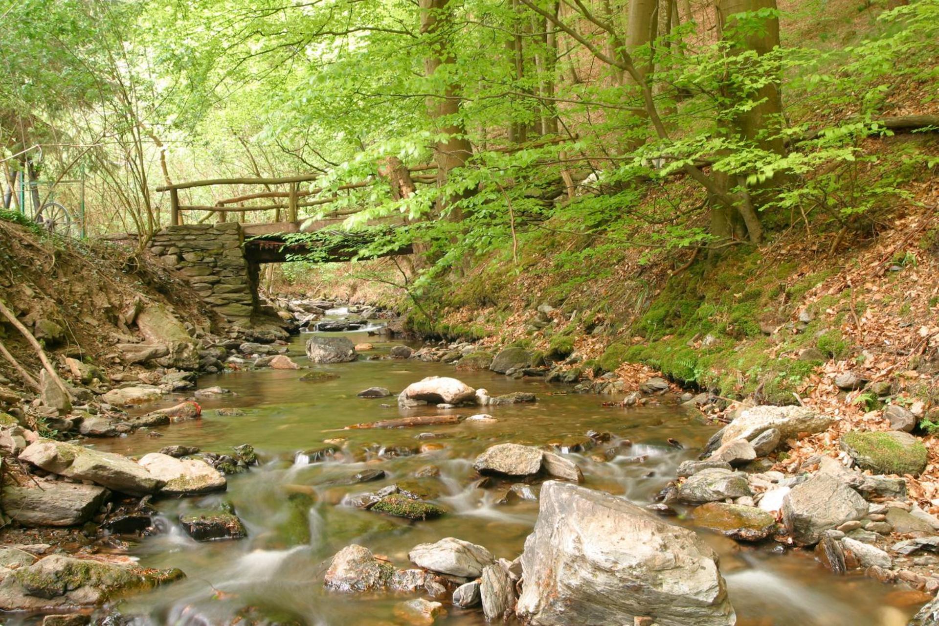 Pension Auf Der Olk Mit Roepertsmuehle Veldenz Esterno foto