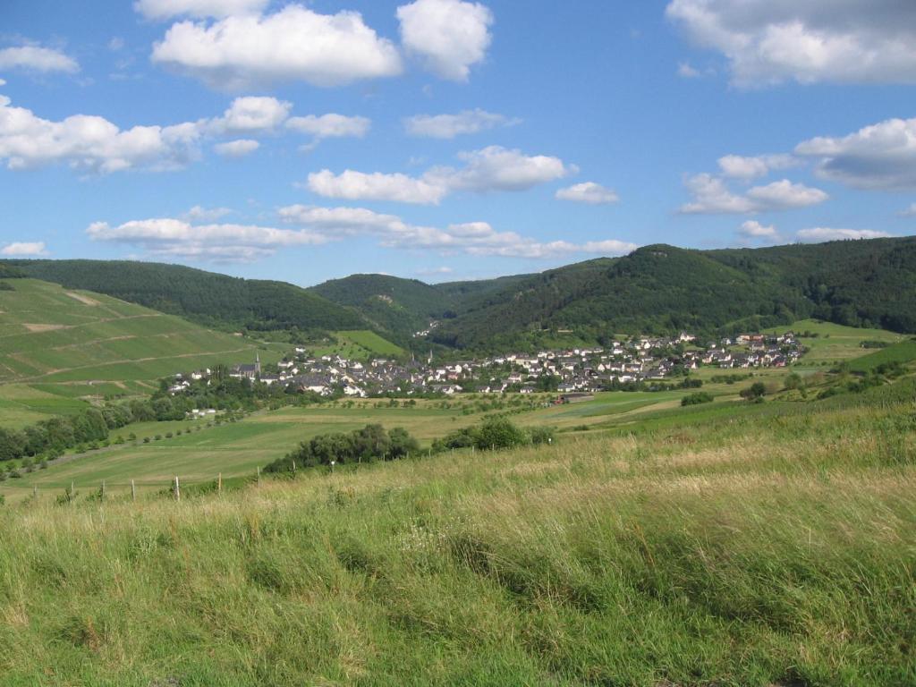 Pension Auf Der Olk Mit Roepertsmuehle Veldenz Esterno foto