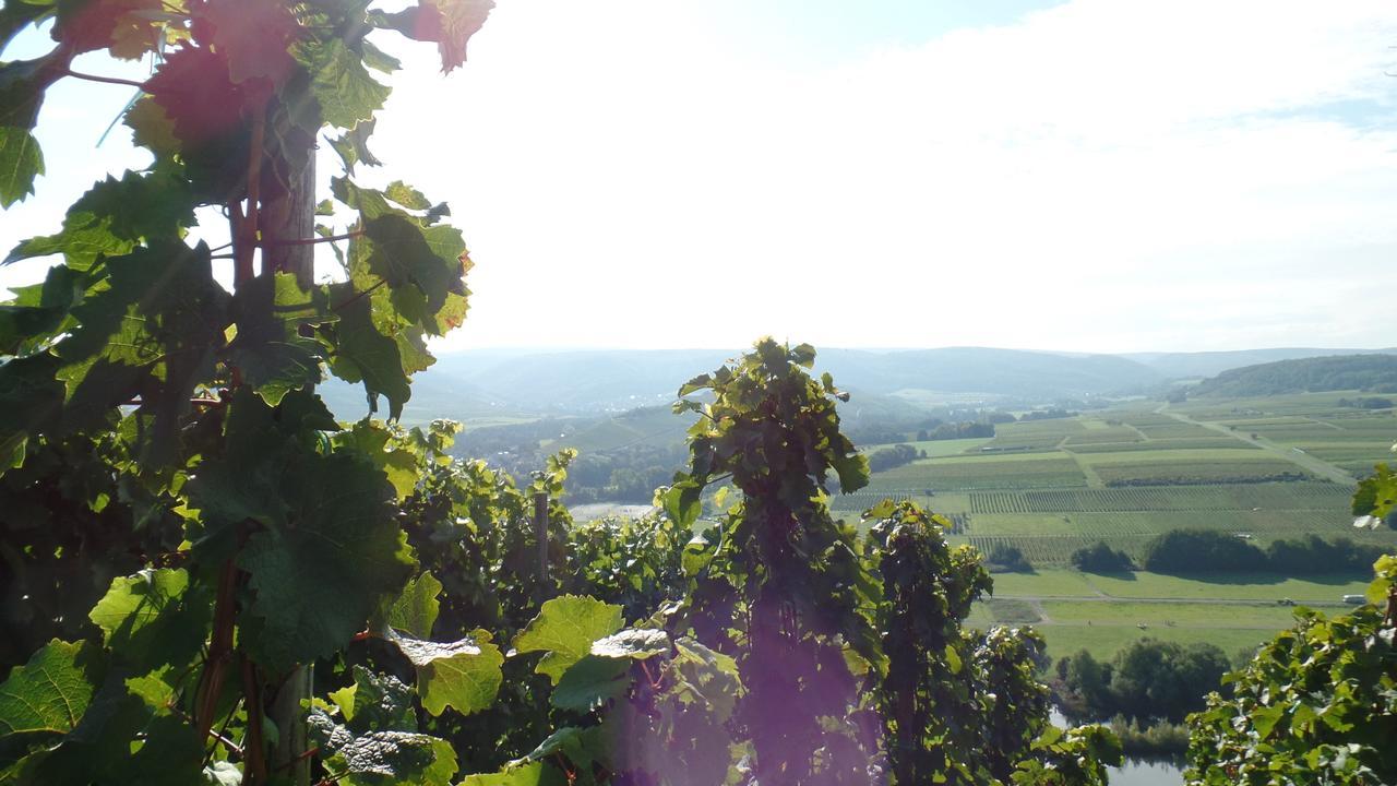 Pension Auf Der Olk Mit Roepertsmuehle Veldenz Esterno foto