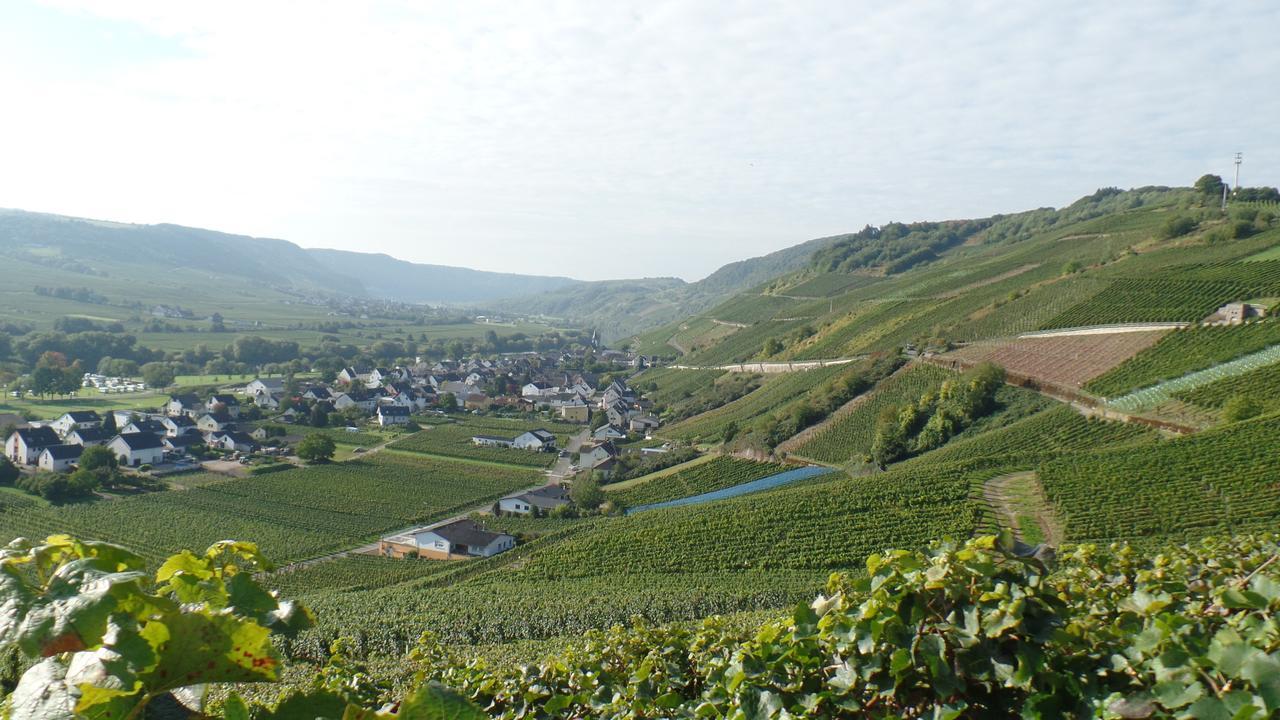 Pension Auf Der Olk Mit Roepertsmuehle Veldenz Esterno foto