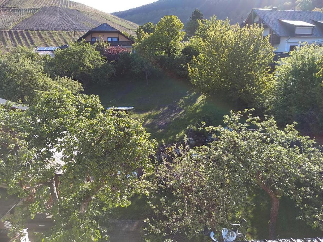 Pension Auf Der Olk Mit Roepertsmuehle Veldenz Esterno foto
